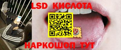 mdpv Кингисепп