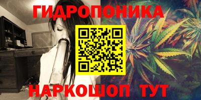 дмт Кинель