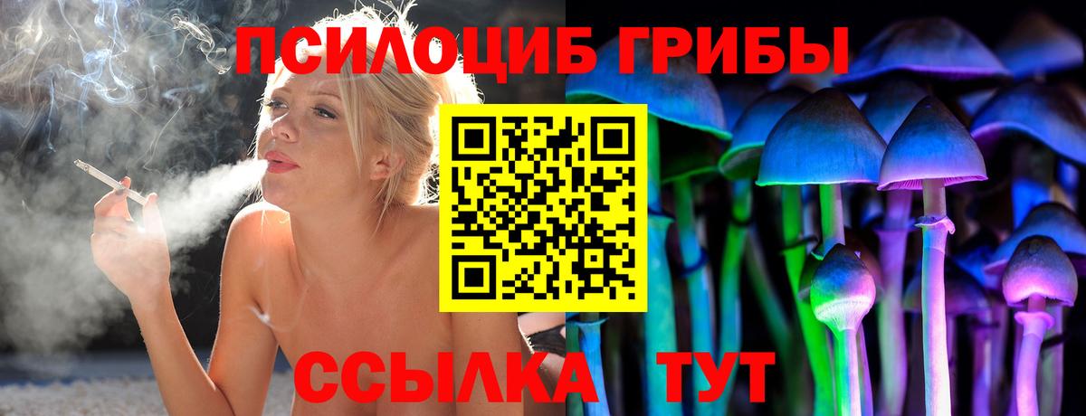 Галлюциногенные грибы ЛСД Луховицы